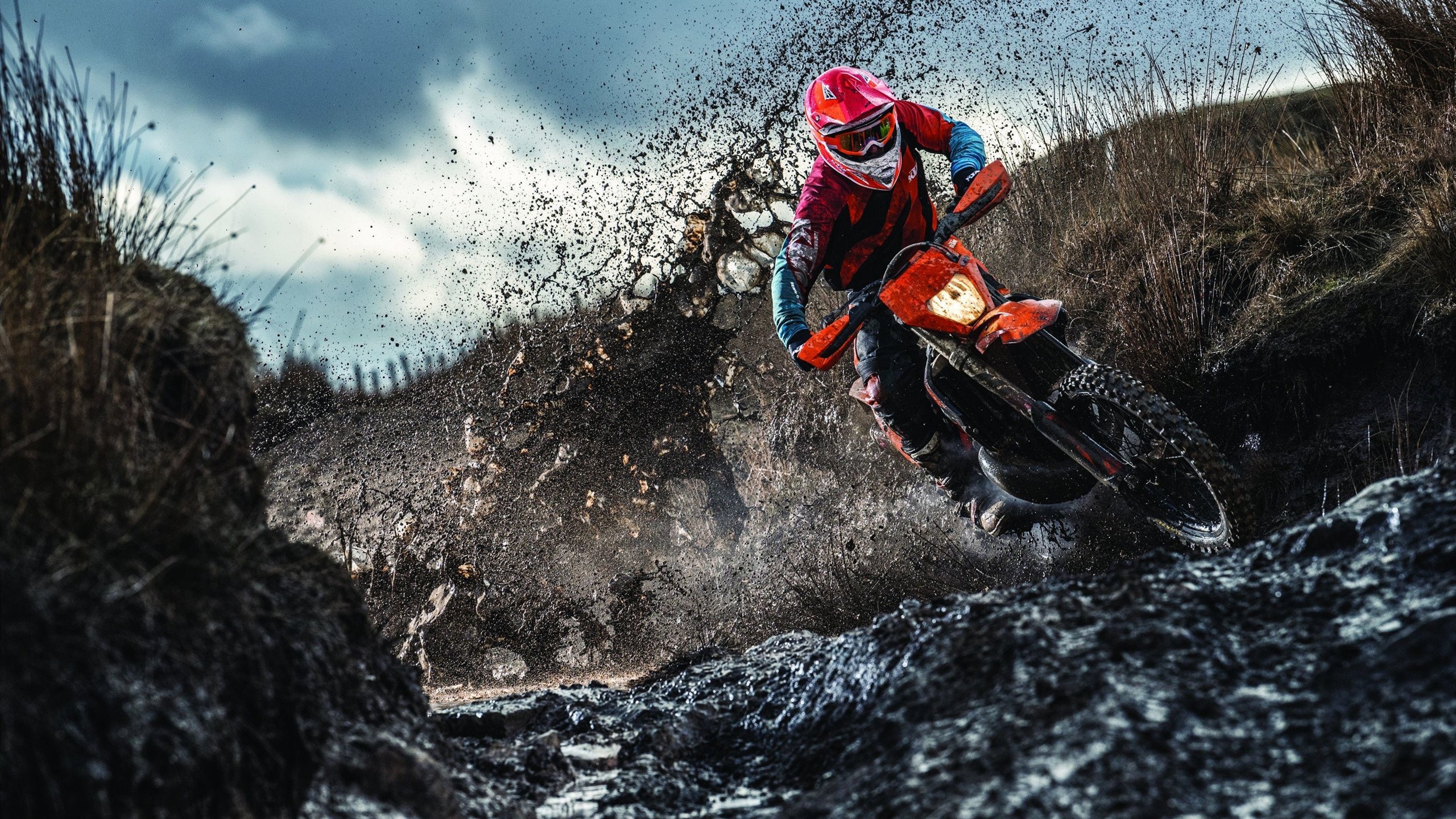 伊丽莎白·德克斯泳池内外双重突破，伊丽莎白.德比茨